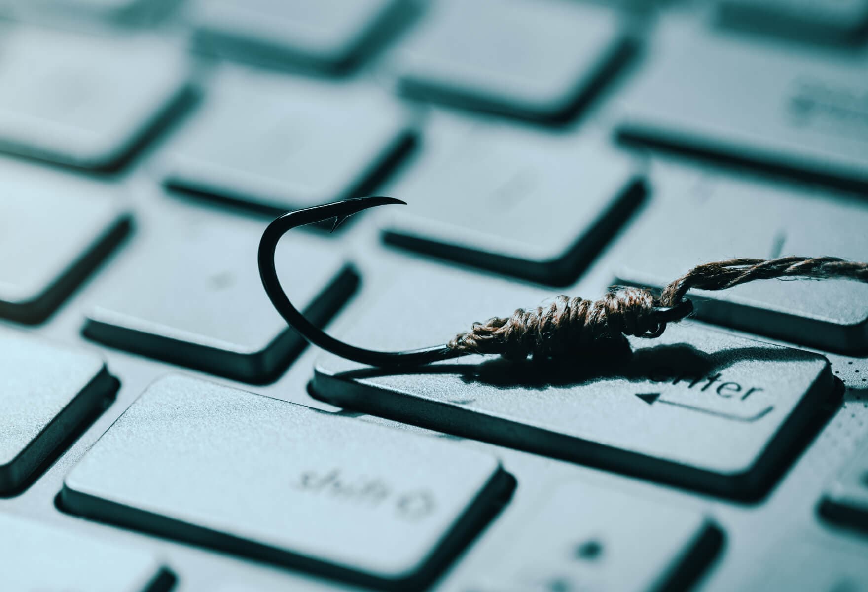 Anti phishing Avatar